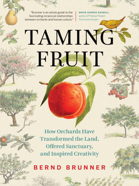 Brunner |  Taming Fruit | Buch |  Sack Fachmedien