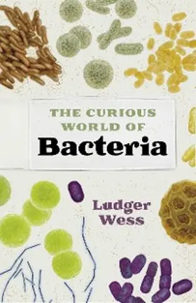 Wess |  The Curious World of Bacteria | eBook | Sack Fachmedien