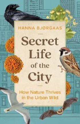 Bjørgaas |  Secret Life of the City | eBook | Sack Fachmedien
