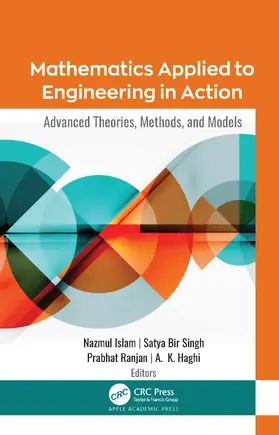 Islam / Singh / Ranjan |  Mathematics Applied to Engineering in Action | Buch |  Sack Fachmedien