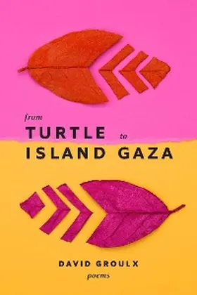 Groulx |  From Turtle Island to Gaza | eBook | Sack Fachmedien