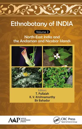 Pullaiah / Krishnamurthy / Bahadur |  Ethnobotany of India, Volume 3 | Buch |  Sack Fachmedien