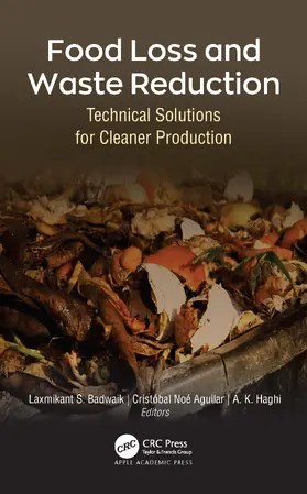 Shkir / Kumar Kaushik / AlFaify |  Nanomaterials for Optoelectronic Applications | Buch |  Sack Fachmedien