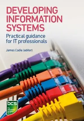 Ahmed / Cox / Girvan |  Developing Information Systems | eBook | Sack Fachmedien