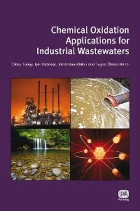 Tunay / Kabdasli / Arslan-Alaton |  Chemical Oxidation Applications for Industrial Wastewaters | eBook | Sack Fachmedien