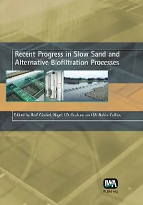 Gimbel / Graham / Collins |  Recent Progress in Slow Sand and Alternative Biofiltration Processes | eBook | Sack Fachmedien