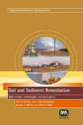 Lens / Grotenhuis / Malina |  Soil and Sediment Remediation | eBook | Sack Fachmedien