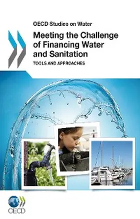 Kohl / Medlar |  Meeting the Challenge of Financing Water and Sanitation | eBook | Sack Fachmedien