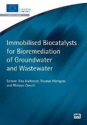 Hochstrat / Wintgens / Corvini |  Immobilised Biocatalysts for Bioremediation of Groundwater and Wastewater | eBook | Sack Fachmedien