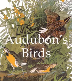 Audubon | Audubon's Birds | E-Book | www2.sack.de