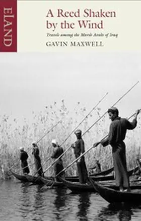 Maxwell |  A Reed Shaken by the Wind | eBook | Sack Fachmedien