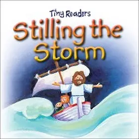 David |  Stilling The Storm | eBook | Sack Fachmedien