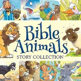 David |  Bible Animals Story Collection | eBook | Sack Fachmedien