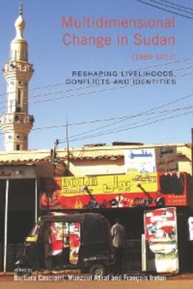 Casciarri | Multidimensional Change in Sudan (19892011) | E-Book | sack.de