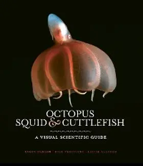 Hanlon / Allcock / Vecchione |  Octopus, Squid & Cuttlefish | eBook | Sack Fachmedien