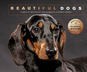 Menteith |  Beautiful Dogs: Portraits of Champion Breeds | Buch |  Sack Fachmedien