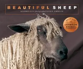 Dun |  Beautiful Sheep | eBook | Sack Fachmedien