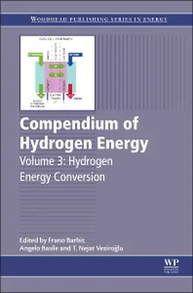 Barbir / Basile | Compendium of Hydrogen Energy | Buch | 978-1-78242-363-8 | sack.de