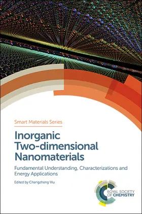 Wu | Inorganic Two-Dimensional Nanomaterials | Buch | 978-1-78262-465-3 | sack.de