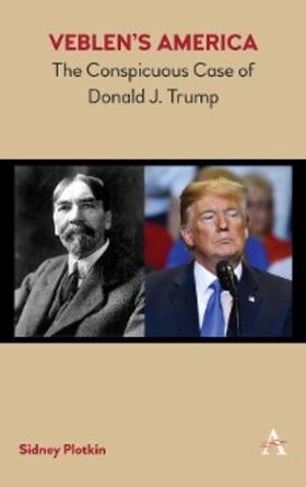 Plotkin |  Veblen's America | eBook | Sack Fachmedien