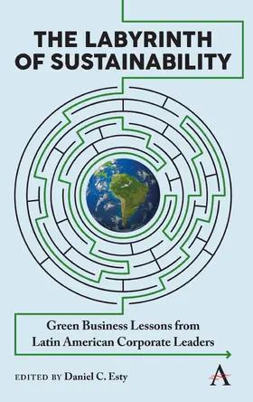 Esty |  The Labyrinth of Sustainability | eBook | Sack Fachmedien
