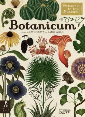 Willis |  Botanicum | Buch |  Sack Fachmedien