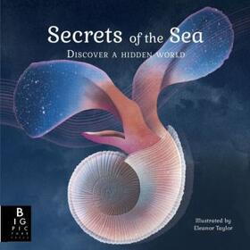 Baker |  Secrets of the Sea | Buch |  Sack Fachmedien