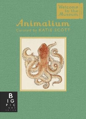 Broom |  Animalium (Mini Gift Edition) | Buch |  Sack Fachmedien
