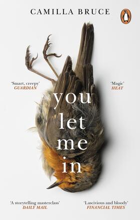 Bruce |  You Let Me In | Buch |  Sack Fachmedien
