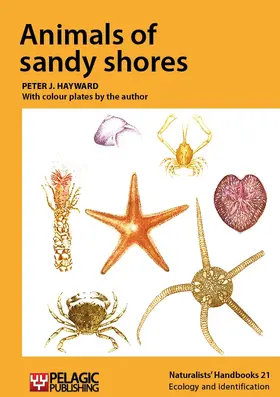 Hayward |  Animals of sandy shores | Buch |  Sack Fachmedien