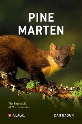 Bagur |  Pine Marten | eBook | Sack Fachmedien