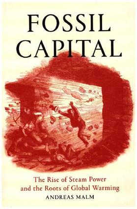 Malm |  Fossil Capital | Buch |  Sack Fachmedien
