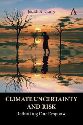 Curry |  Climate Uncertainty and Risk | eBook | Sack Fachmedien