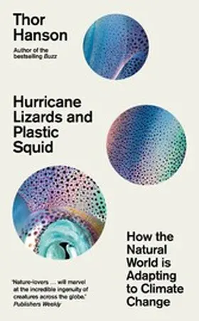 Hanson |  Hurricane Lizards and Plastic Squid | eBook | Sack Fachmedien