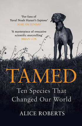 Roberts | Tamed | Buch | 978-1-78609-001-0 | sack.de