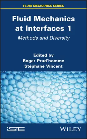 Prudhomme / Vincent |  Fluid Mechanics at Interfaces 1 | Buch |  Sack Fachmedien