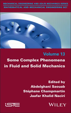 Saouab / Champmartin / Khalid Naciri |  Some Complex Phenomena in Fluid and Solid Mechanics | Buch |  Sack Fachmedien
