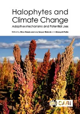 Hasanuzzaman / Shabala / Fujita |  Halophytes and Climate Change | eBook | Sack Fachmedien
