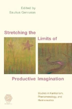 Geniusas |  Stretching the Limits of Productive Imagination | eBook | Sack Fachmedien