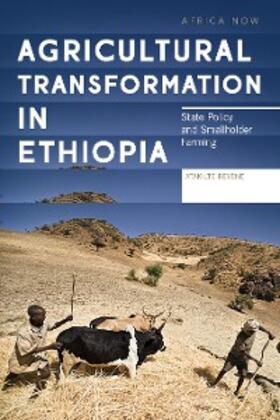 Beyene |  Agricultural Transformation in Ethiopia | eBook | Sack Fachmedien