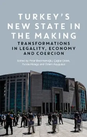 Bedirhanoglu / Dölek / Hülagü |  Turkey's New State in the Making | eBook | Sack Fachmedien