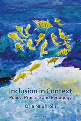 Ní Bhroin |  Inclusion in Context | eBook | Sack Fachmedien