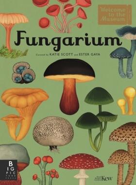 Gaya / Scott |  Fungarium | Buch |  Sack Fachmedien