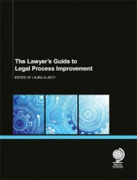 Alman MacDonagh, JD / Alman MacDonagh / Craig |  The Lawyer's Guide to Legal Process Improvement | eBook | Sack Fachmedien
