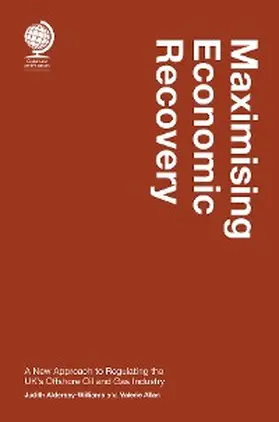 Aldersey  Williams / Allan |  Maximising Economic Recovery | eBook | Sack Fachmedien