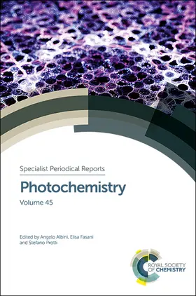 Albini / Fasani / Protti |  Photochemistry | Buch |  Sack Fachmedien