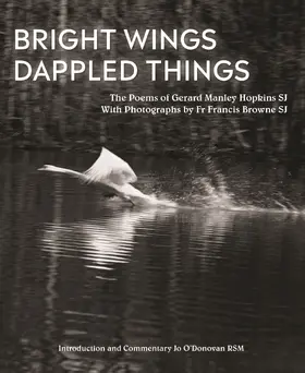 Hopkins / Jo O'Donovan |  Bright Wings, Dappled Things | eBook | Sack Fachmedien