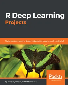 Yuxi (Hayden) Liu / Maldonado |  R Deep Learning Projects | eBook | Sack Fachmedien