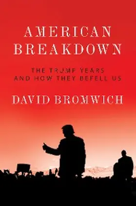 Bromwich |  American Breakdown | eBook | Sack Fachmedien