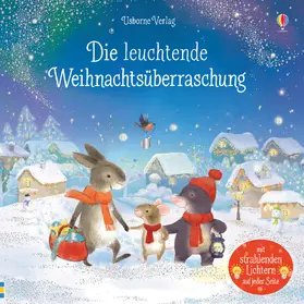 Taplin |  Die leuchtende Weihnachtsüberraschung | Buch |  Sack Fachmedien